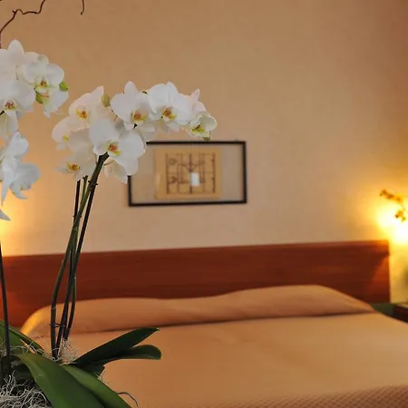 Hotel Filanda 4*